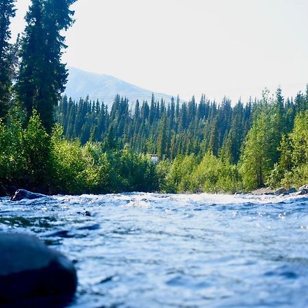 The Perch Resort Denali Park Εξωτερικό φωτογραφία