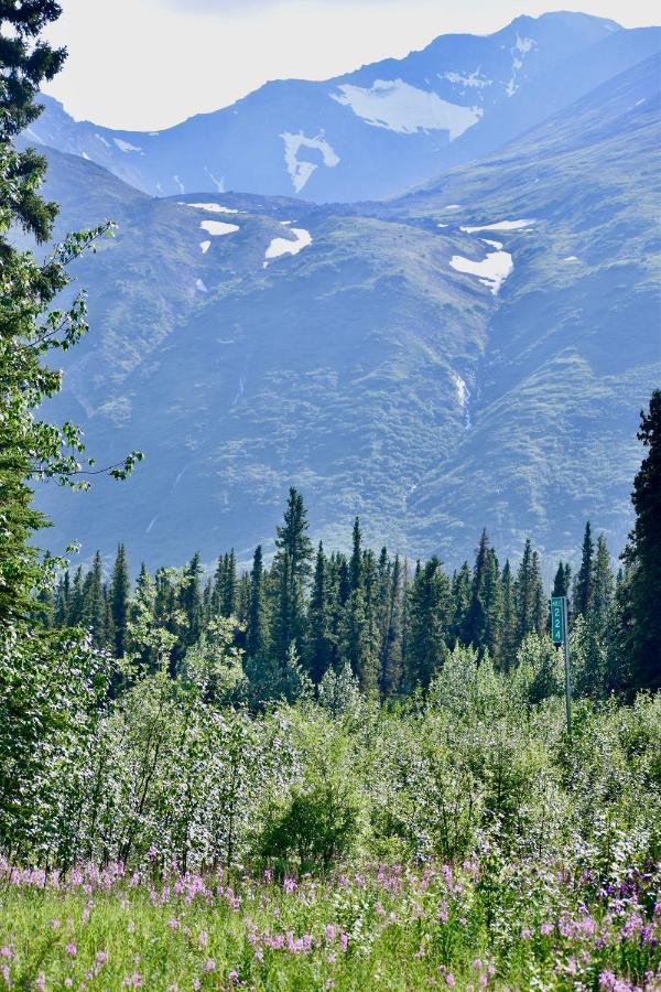The Perch Resort Denali Park Εξωτερικό φωτογραφία