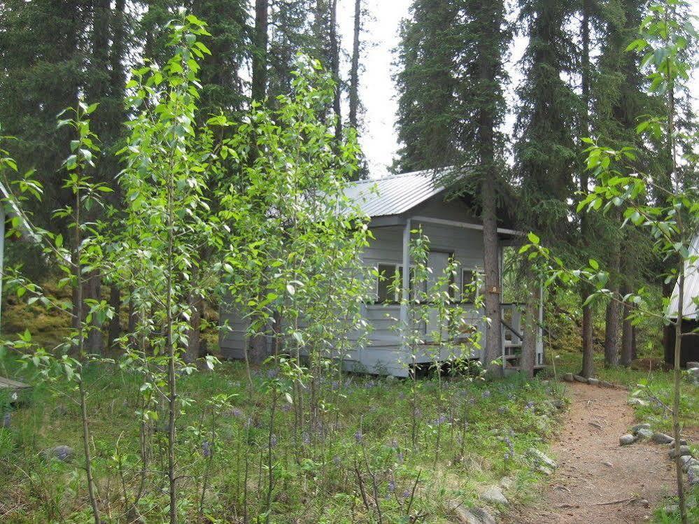 The Perch Resort Denali Park Εξωτερικό φωτογραφία
