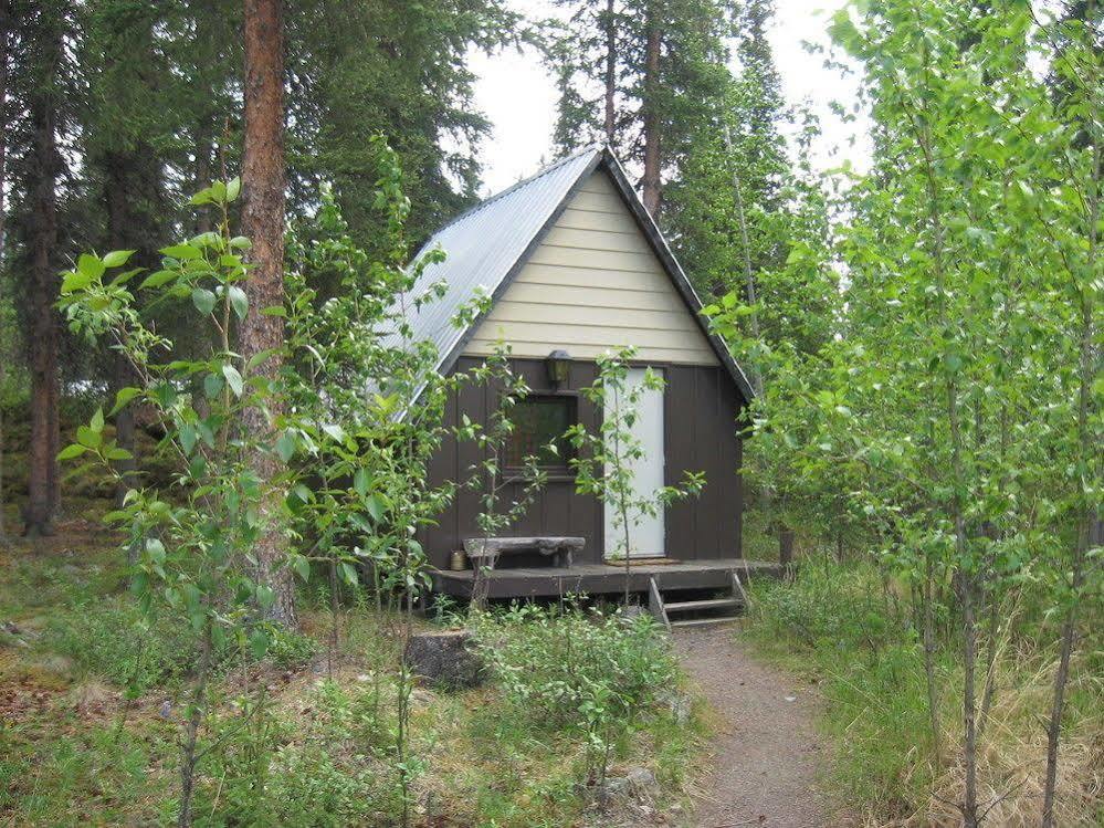The Perch Resort Denali Park Εξωτερικό φωτογραφία