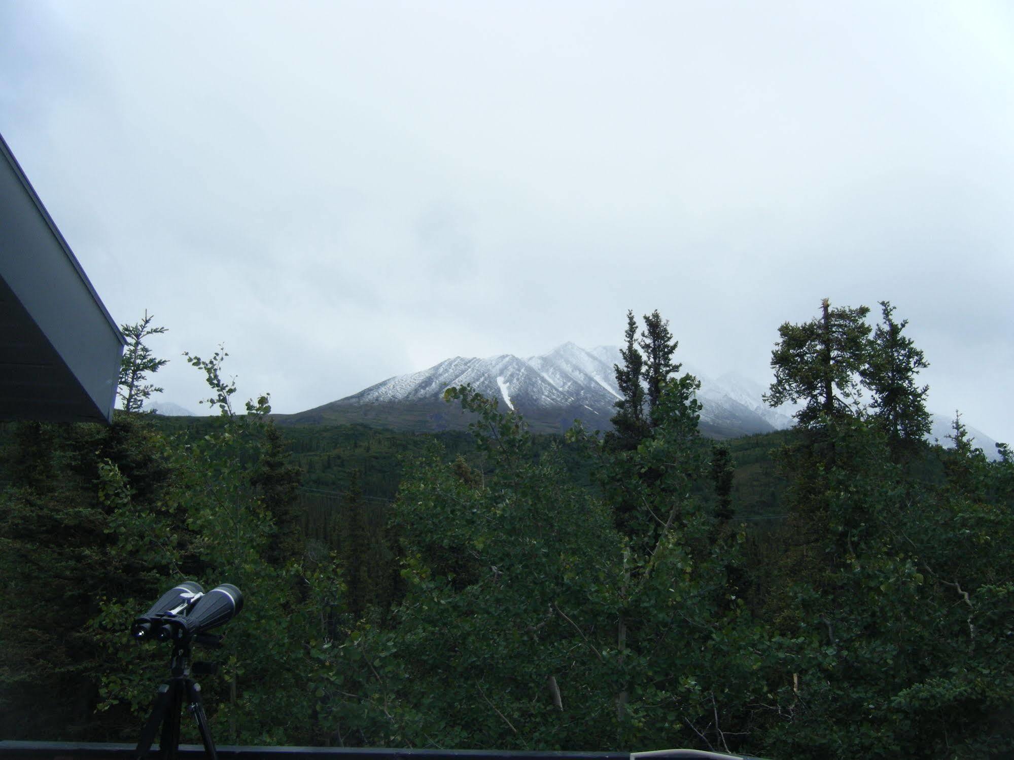 The Perch Resort Denali Park Εξωτερικό φωτογραφία